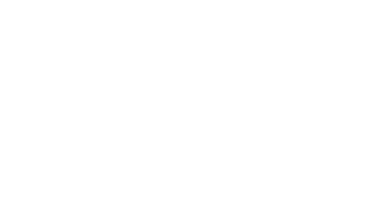 치킨매니아